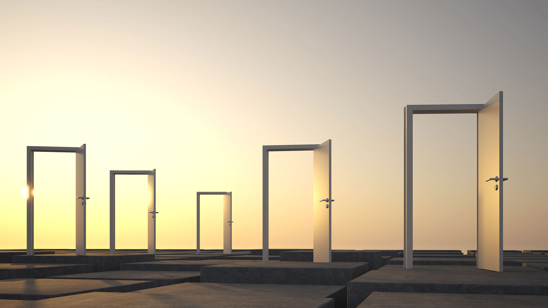 Niedermaier Invest – Karriere