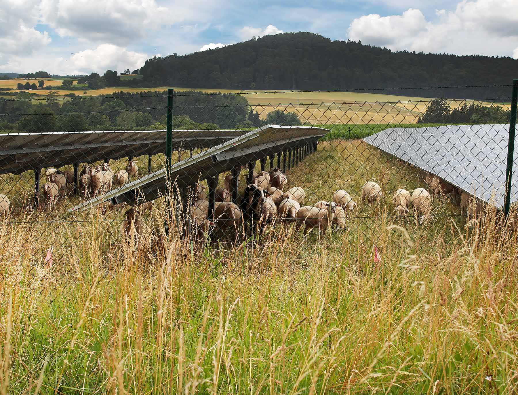 Niedermaier Invest – Energie