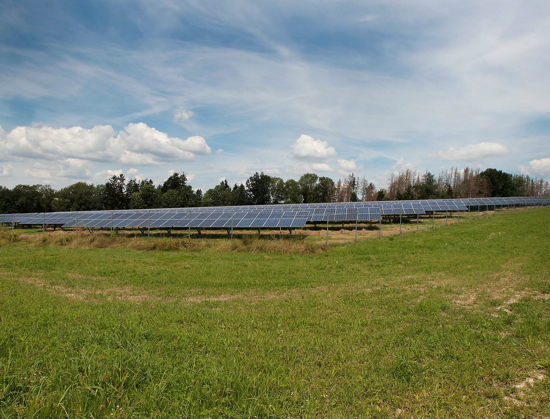 Niedermaier Invest – Solarpark Egglham