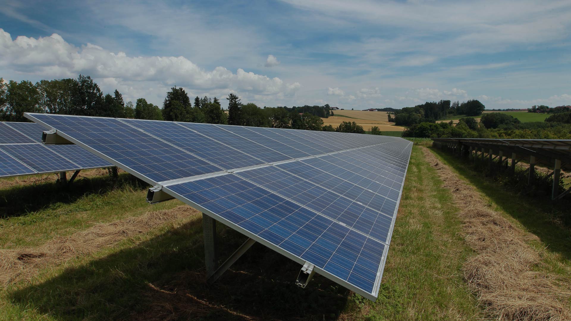 Niedermaier Invest – Solarpark Egglham