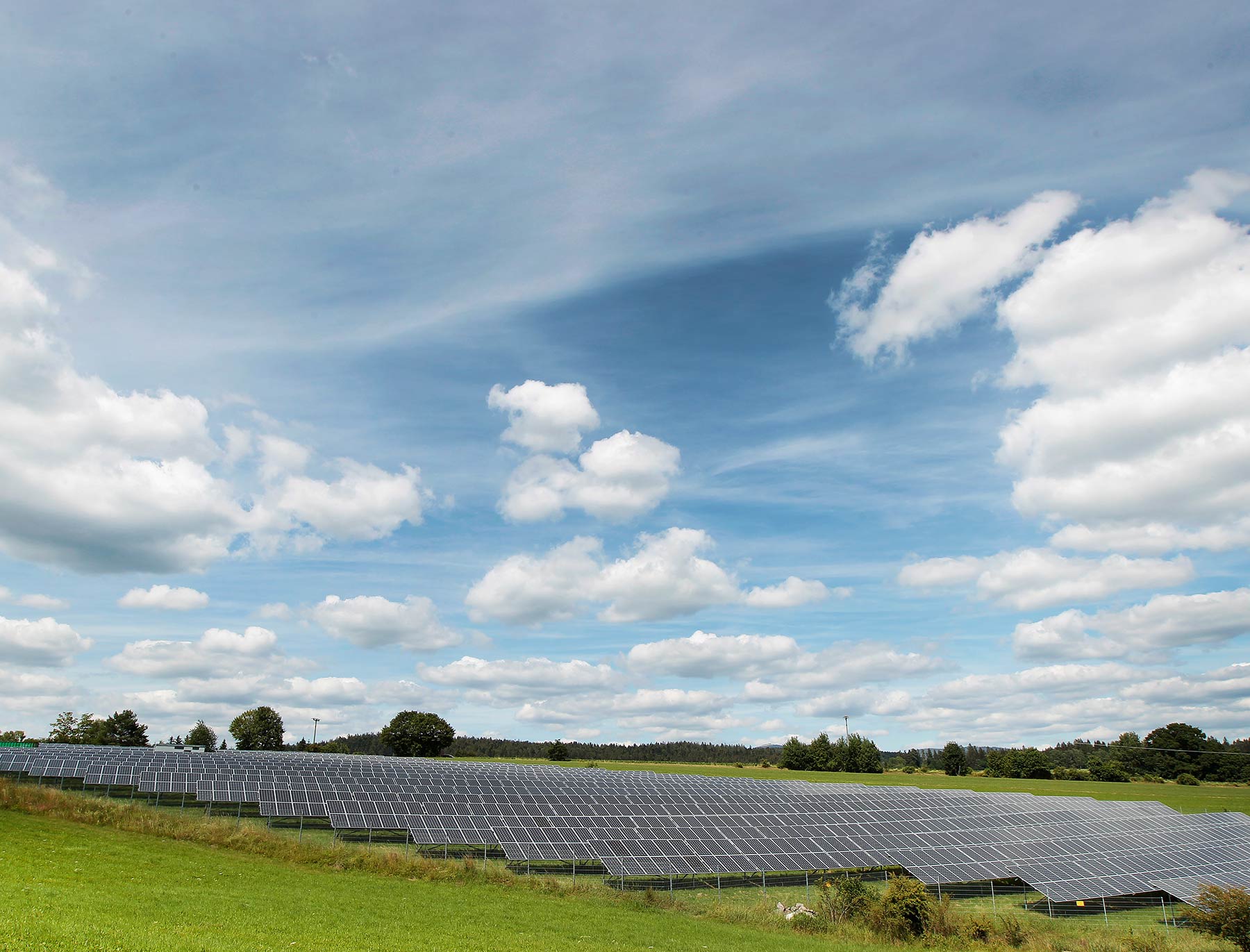 Niedermaier Invest – Solarpark Rosenau
