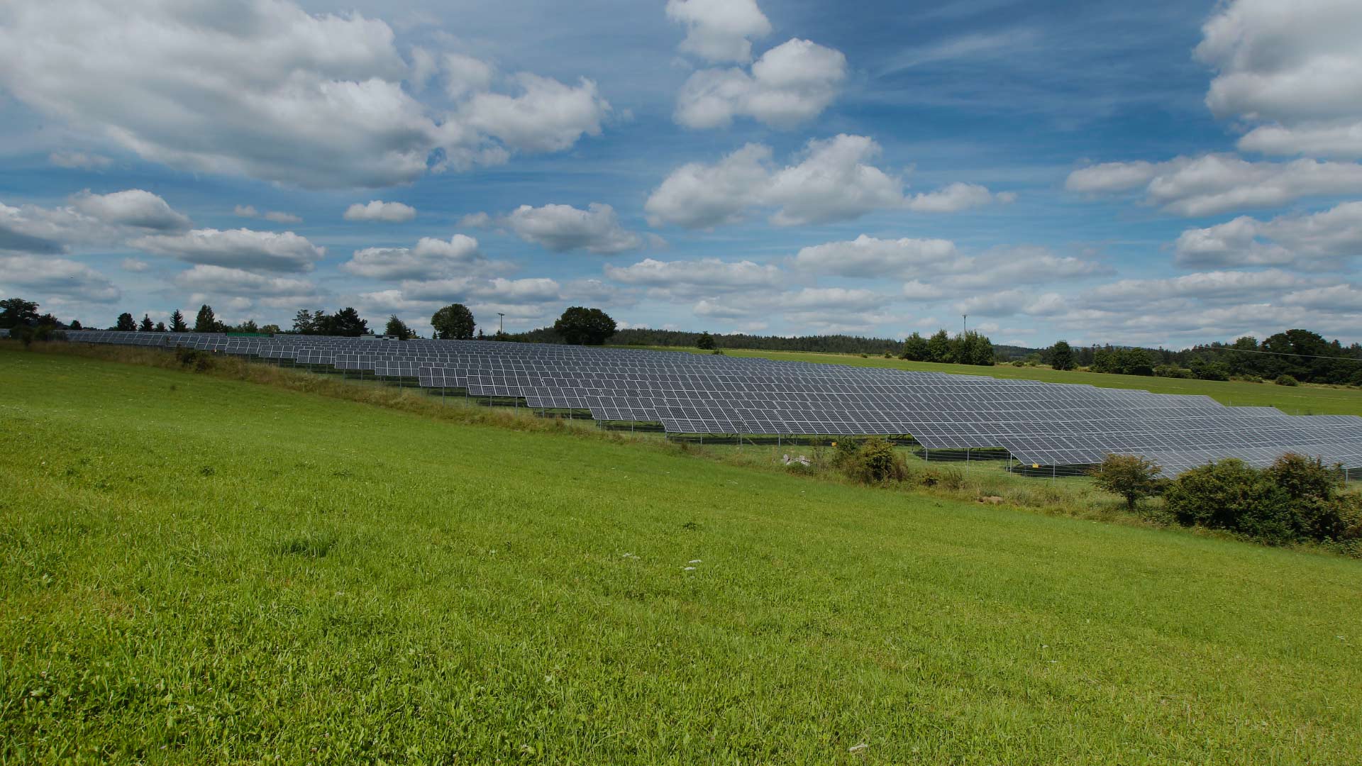Niedermaier Invest – Solarpark Rosenau