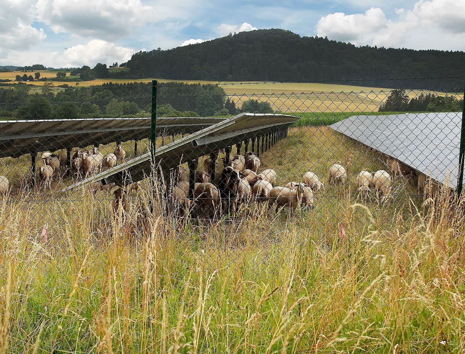Referenzprojekte Niedermaier Invest: Solarpark Velburg